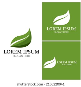 Icono de hoja de naturaleza y vector de plantilla de símbolo