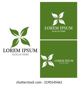 Nature leaf icon and symbol template vector