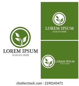 Naturblattsymbol und Symbolvorlage, Vektorgrafik