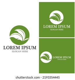 Nature leaf icon and symbol template vector