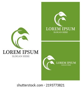 Nature leaf icon and symbol template vector