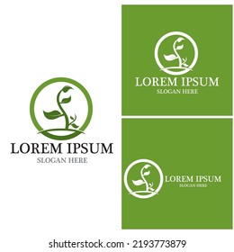 Nature leaf icon and symbol template vector