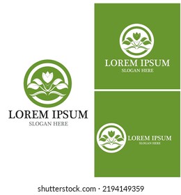 Icono de hoja de naturaleza y vector de plantilla de símbolo