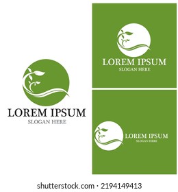 Nature leaf icon and symbol template vector