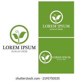 Nature leaf icon and symbol template vector