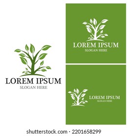 Nature leaf icon and symbol template vector