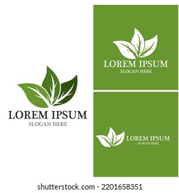 Nature leaf icon and symbol template vector