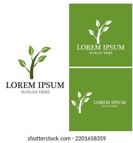Nature leaf icon and symbol template vector