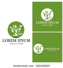 Nature leaf icon and symbol template vector