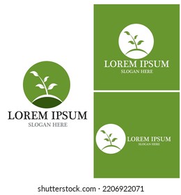 Icono de hoja de naturaleza y vector de plantilla de símbolo