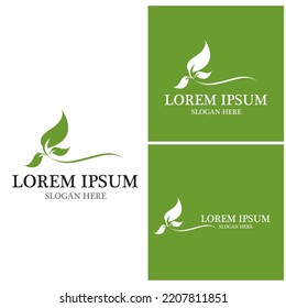Nature leaf icon and symbol template vector