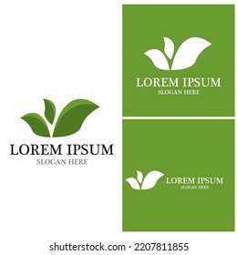 Icono de hoja de naturaleza y vector de plantilla de símbolo