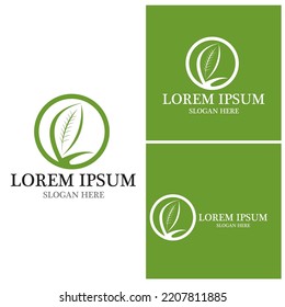 Nature leaf icon and symbol template vector