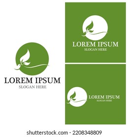 Nature leaf icon and symbol template vector