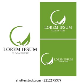 Icono de hoja de naturaleza y vector de plantilla de símbolo