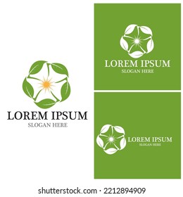 Nature leaf icon and symbol template vector