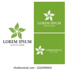 Nature leaf icon and symbol template vector