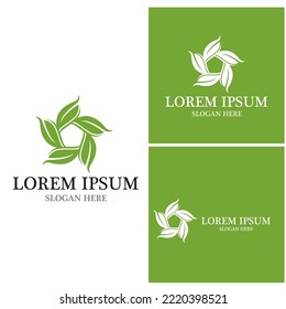 Nature leaf icon and symbol template vector