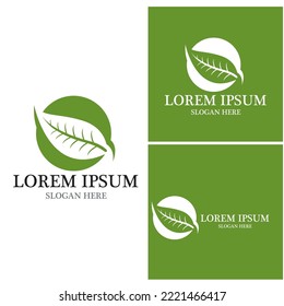 Icono de hoja de naturaleza y vector de plantilla de símbolo