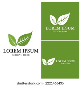 Nature leaf icon and symbol template vector