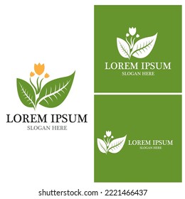 Icono de hoja de naturaleza y vector de plantilla de símbolo