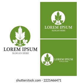 Nature leaf icon and symbol template vector