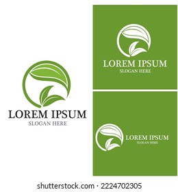 Nature leaf icon and symbol template vector