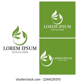 Nature leaf icon and symbol template vector