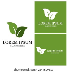 Nature leaf icon and symbol template vector