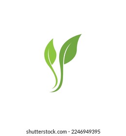Nature leaf icon and symbol template vector