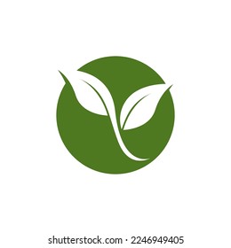 Nature leaf icon and symbol template vector