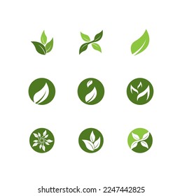 Nature leaf icon and symbol template vector