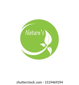 Nature leaf icon and symbol vector illustration