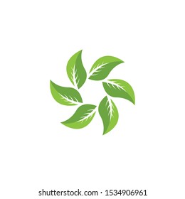 Nature leaf icon and symbol vector illustration