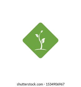 Nature leaf icon and symbol vector illustration