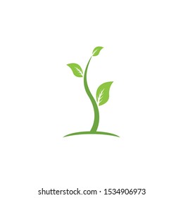 Nature leaf icon and symbol vector illustration