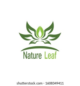 Nature leaf icon and symbol vector illustration