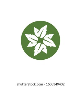 Nature leaf icon and symbol vector illustration