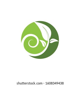 Nature leaf icon and symbol vector illustration