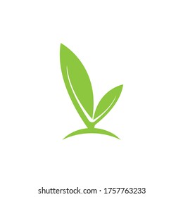 Nature leaf icon and symbol vector illustration