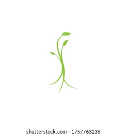 Icono de la hoja de naturaleza e ilustración del vector de símbolo