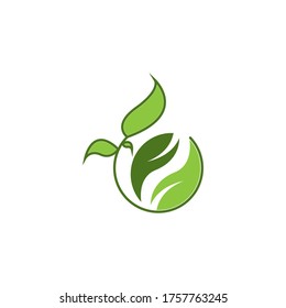 Icono de la hoja de naturaleza e ilustración del vector de símbolo