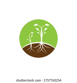 Nature leaf icon and symbol vector illustration
