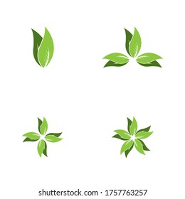Icono de la hoja de naturaleza e ilustración del vector de símbolo
