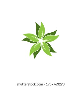 Nature leaf icon and symbol vector illustration