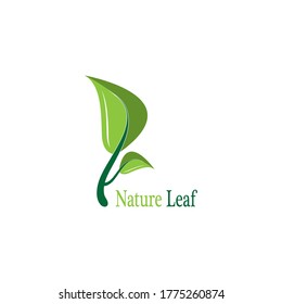 Nature leaf icon and symbol vector illustration