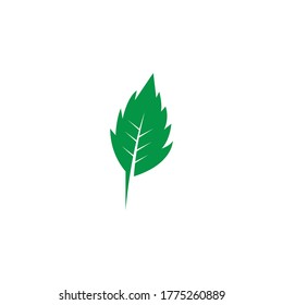 Nature leaf icon and symbol vector illustration