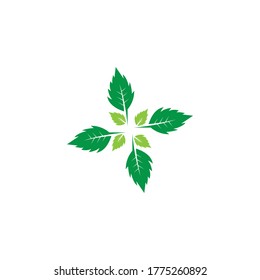 Nature leaf icon and symbol vector illustration