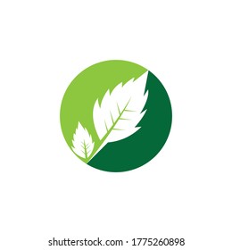 Nature leaf icon and symbol vector illustration