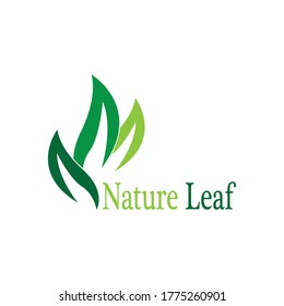 Icono de la hoja de naturaleza e ilustración del vector de símbolo
